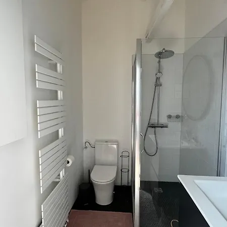 Maison Cosy - Maison De Maitre Проживание в семье Saint-Andre-lez-Lille