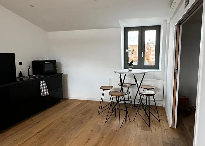 Maison Cosy - Maison De Maitre * Saint-Andre-lez-Lille